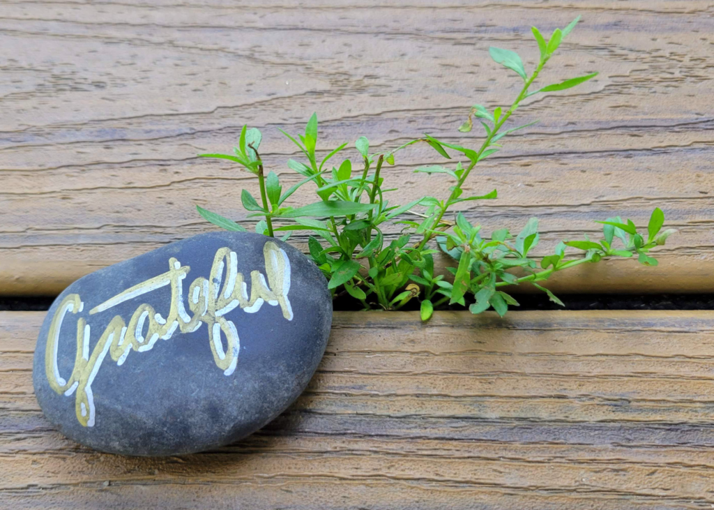 A smooth river stone with the word "Grateful" painted on it sits on a wooden deck with a plant growing through the boards.