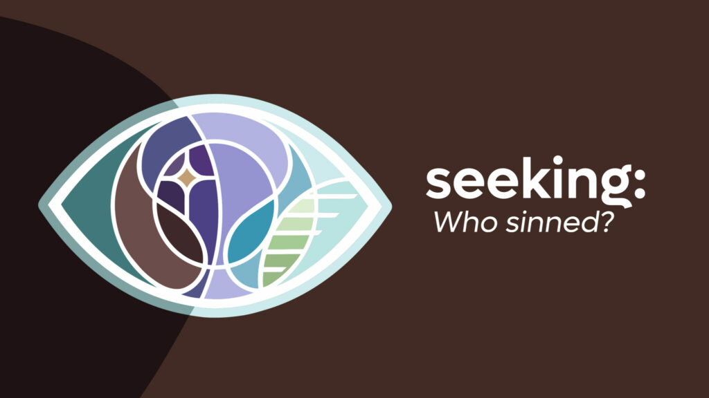 seeking: who sinned?